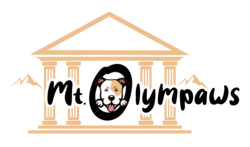 mtolympaws.com